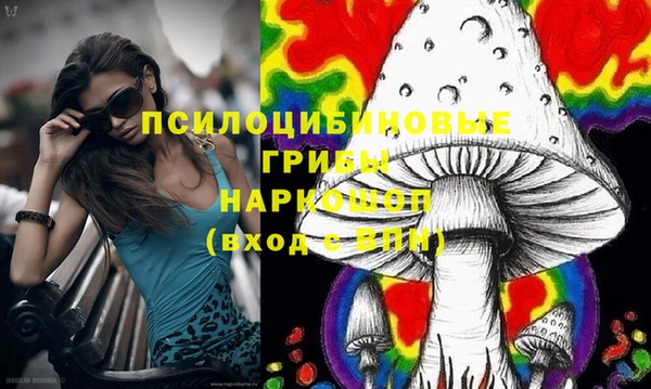 spice Балабаново